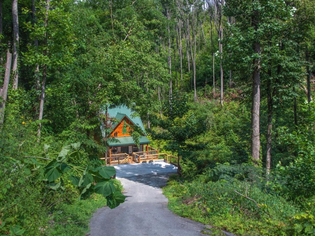 Bearly Hidden Villa แกตลิงเบิร์ก ภายนอก รูปภาพ